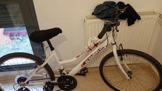 Bicicleta Estel Open 24