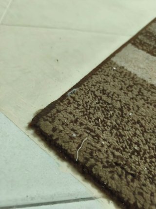 Alfombra de salón marrón y beige