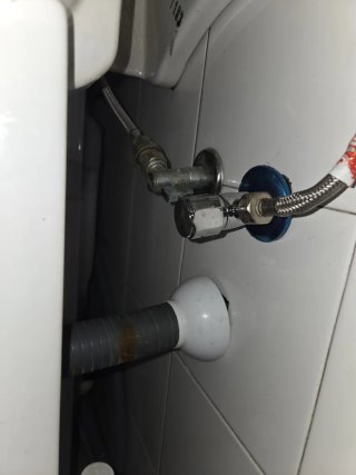 Trabajos de Manitas