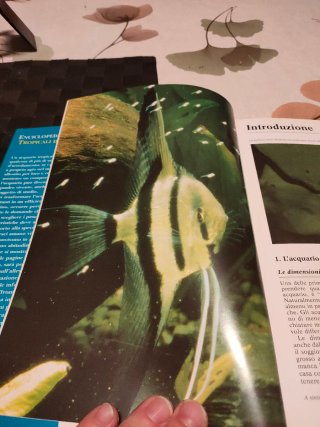Enciclopedia dei pesci tropicali d'acquario