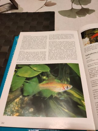Enciclopedia dei pesci tropicali d'acquario