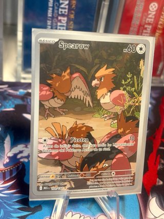 Carta Pokémon Spearow 60/172