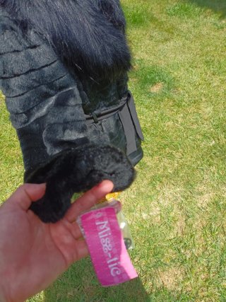 Abrigo negro con cuello de pelo