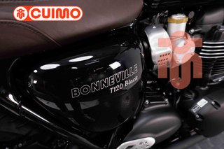 TRIUMPH BONNEVILLE T120