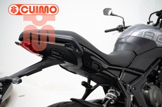 TRIUMPH TIGER SPORT 800