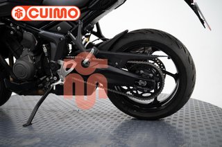 TRIUMPH TIGER SPORT 800