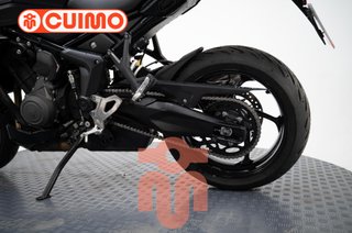 TRIUMPH TIGER SPORT 800