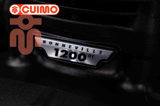 TRIUMPH BONNEVILLE T120