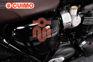 TRIUMPH BONNEVILLE T120