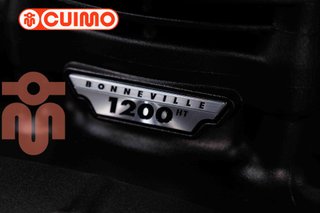 TRIUMPH BONNEVILLE T120