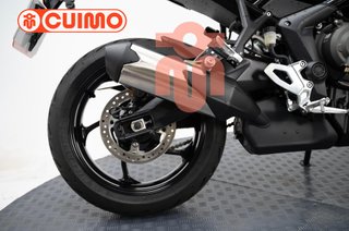 TRIUMPH TIGER SPORT 800