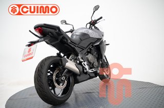 TRIUMPH TIGER SPORT 800