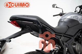TRIUMPH TIGER SPORT 800