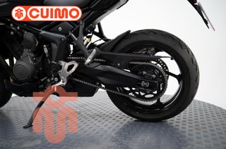 TRIUMPH TIGER SPORT 800