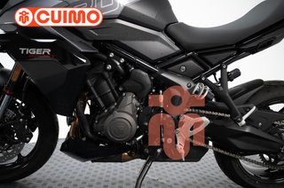TRIUMPH TIGER SPORT 800