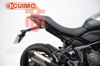 TRIUMPH TIGER SPORT 800