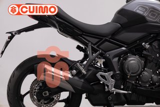 TRIUMPH TIGER SPORT 800