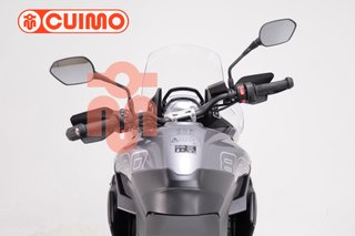 TRIUMPH TIGER SPORT 800