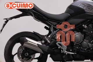 TRIUMPH TIGER SPORT 800