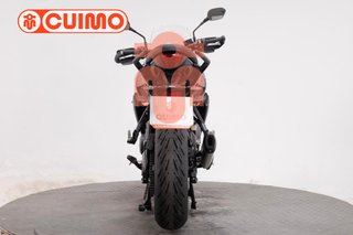 TRIUMPH TIGER SPORT 800