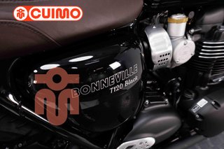 TRIUMPH BONNEVILLE T120