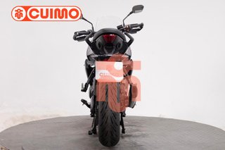 TRIUMPH TIGER SPORT 800
