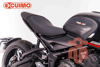 TRIUMPH TRIDENT 660