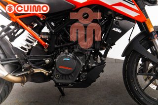 KTM 125 DUKE