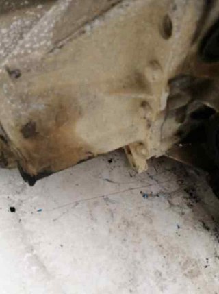 458752 20dl41 caja cambios citroen xsara berlina