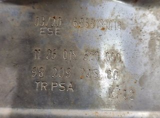 Citroen 104688 catalizador 9820974580 jumpy fugon