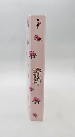 Quaderno ad anelli Peppermint Rose grande vintage