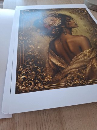 Lámina Ilustración A3 Marco Dorado