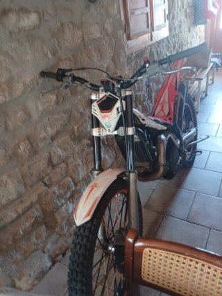Beta Evo 290 Trial Moto