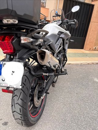Triumph Tiger 800 XRX Trail
