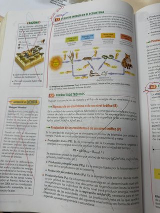 Biología, Geología y Ciencias Ambientales 1 Bac...