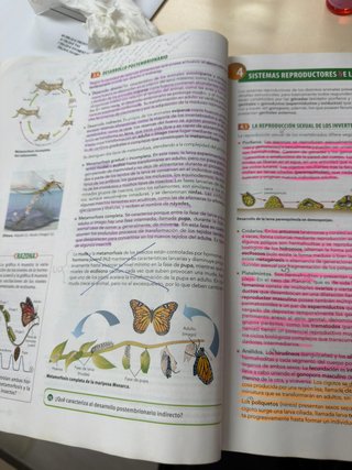 Biología, Geología y Ciencias Ambientales 1 Bac...