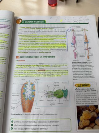 Biología, Geología y Ciencias Ambientales 1 Bac...