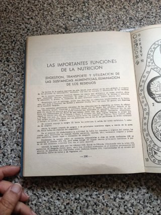 Libro Plantas medicinales