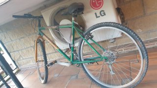 Bicicleta de montaña