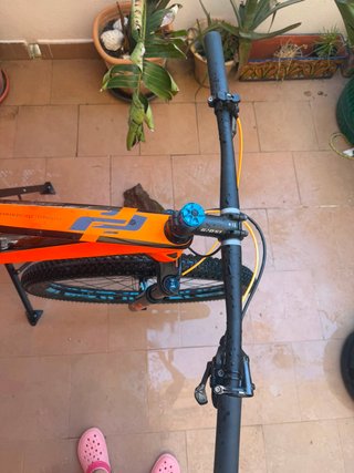 Ghost Lector Carbono 29
