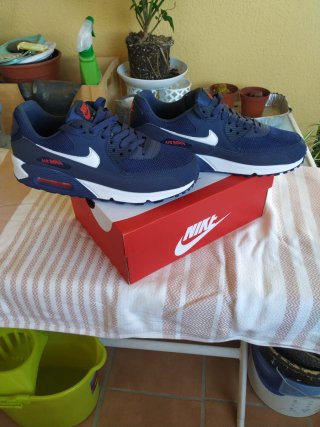 Zapatillas Nike Air Max Azul