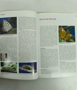 The Complete Field Guide to Butterflies of Aust...