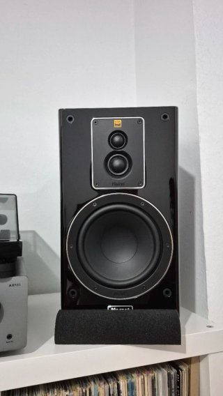 Magnat Signature 503 Altavoces Negro