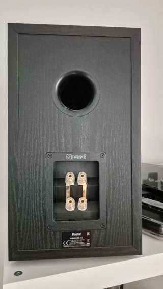 Magnat Signature 503 Altavoces Negro