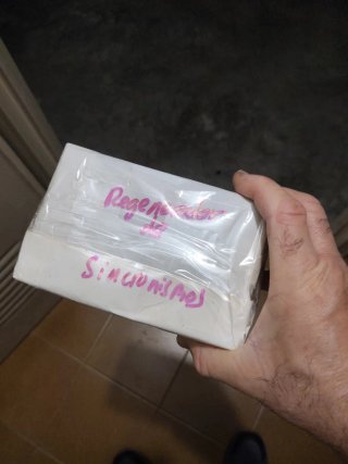 Regenerador de Sincronismo