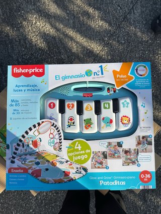 Gimnasio Piano Bebé Fisher-Price 0-36 Meses