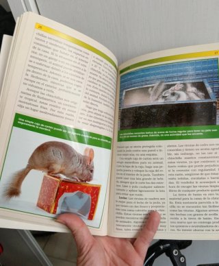 Manual práctico de la chinchilla