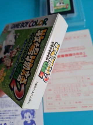 Harvest Moon 2 Game Boy Color