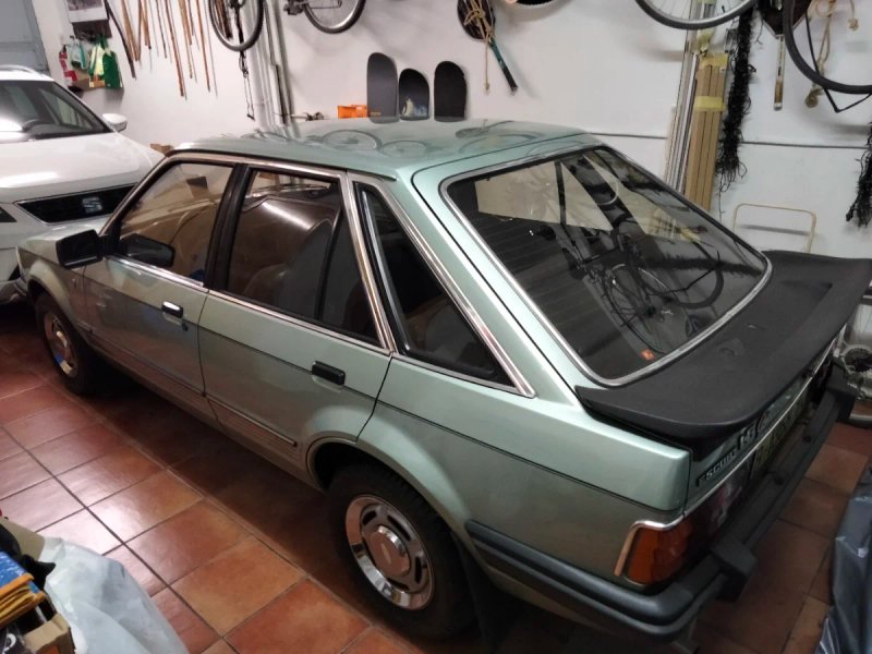 Ford Escort 1982 . Histórico - foto 1