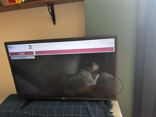 Televisor LG 32'' Negro
